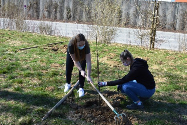 Berger Azubis pflanzen Bäume